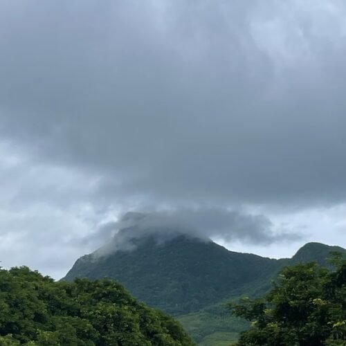 Blue Bay Mauritius tour