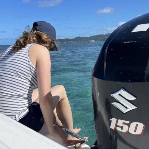 Ile aux Cerfs catamaran cruise