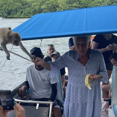 Ile aux Cerfs catamaran cruise