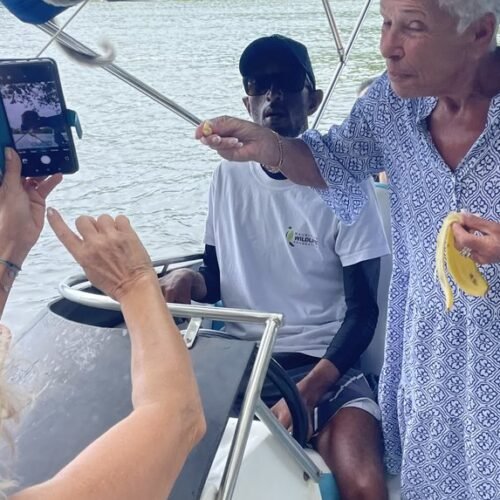 Ile aux Cerfs catamaran cruise