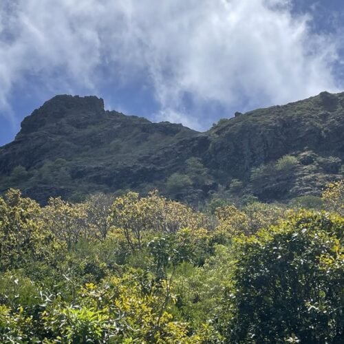 Le Morne guided hike