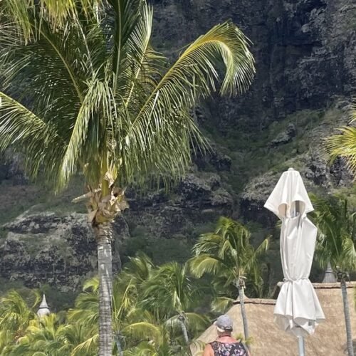 Le Morne Mauritius tour