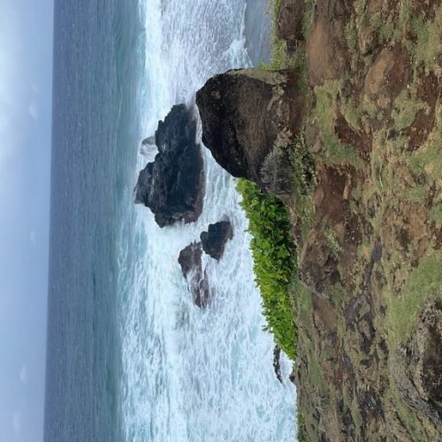 Ile aux Cerfs day trip with Seewan Tours