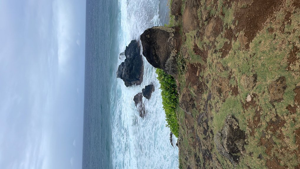 Ile aux Cerfs day trip with Seewan Tours