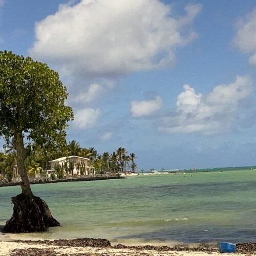 Mauritius shopping tour