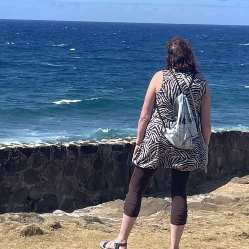 Mauritius Tea Route tour