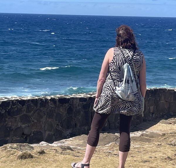 Mauritius Tea Route tour
