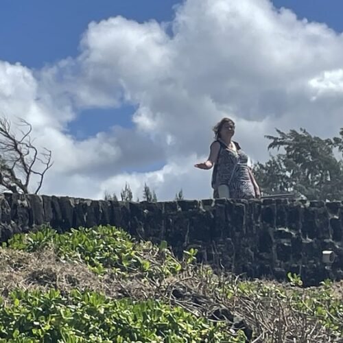 Mauritius Tea Route tour