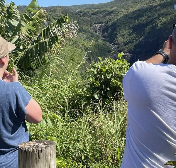 Mauritius waterfalls tour