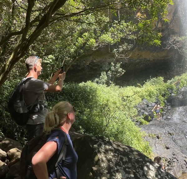 Mauritius waterfalls tour