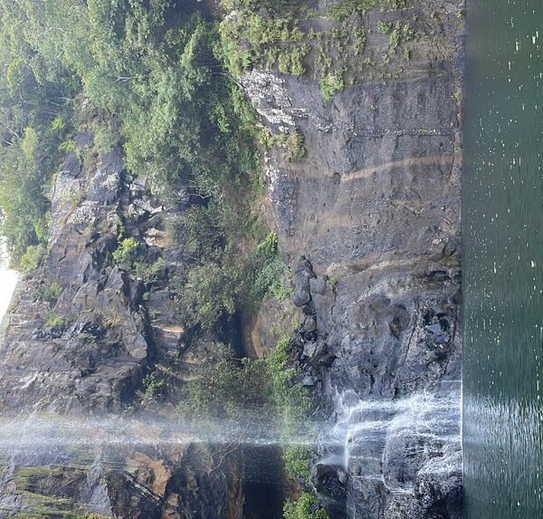 Mauritius zipline adventure