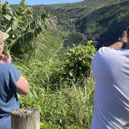 Mauritius zipline adventure