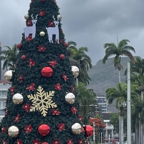 Port Louis city tour