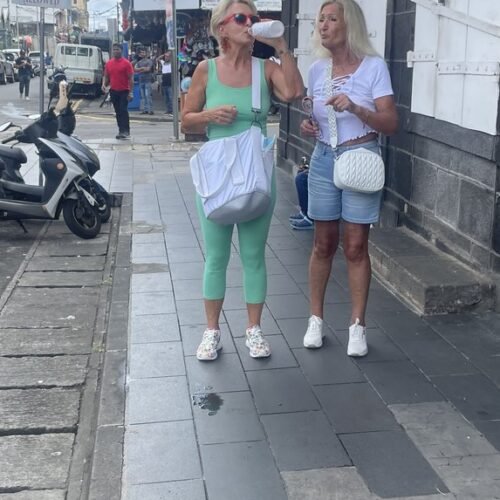 Port Louis city tour