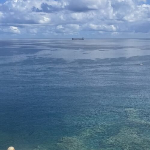 West Coast Mauritius tour